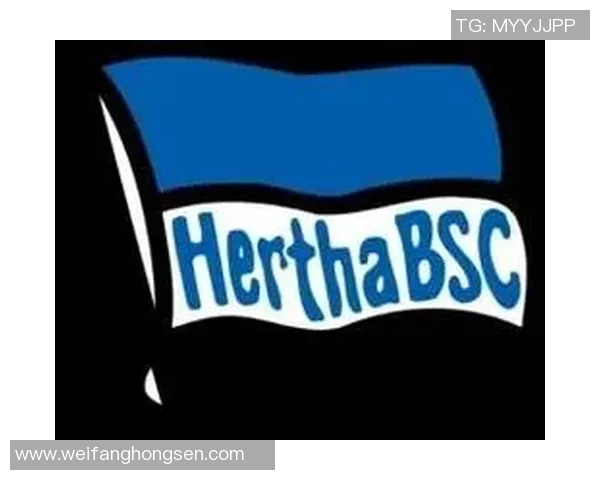 莱比锡主场迎战柏林赫塔争夺德甲积分榜重要位置