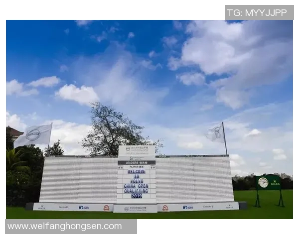 莱昂与韦拉激战正酣精彩瞬间回顾与赛后分析