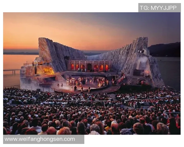 莱奥的传奇旅程：从少年梦想到世界舞台的辉煌成就