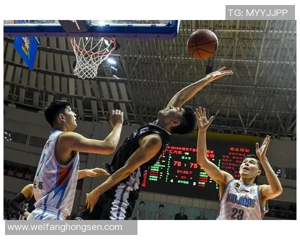 2015年辽宁与新疆篮球对决结果回顾及赛季分析