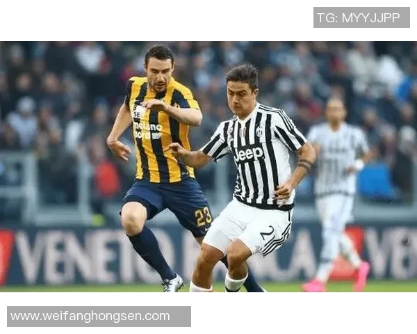 热那亚对阵维罗纳今日足球推荐分析及赛前预测