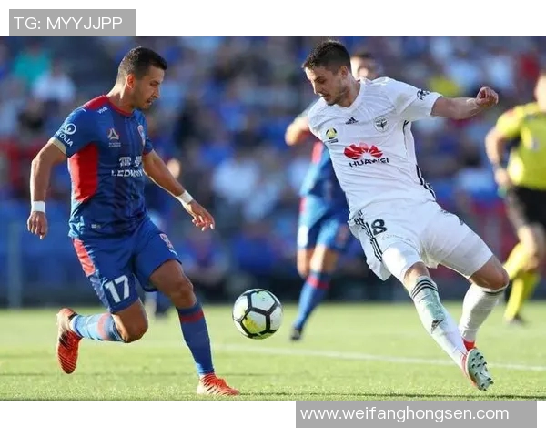 墨尔本城与中央海岸2016年精彩对决回顾与分析