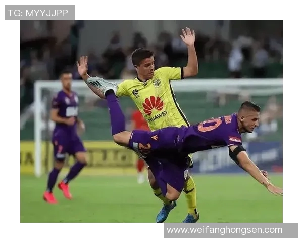 惠灵顿凤凰与墨尔本胜利对决前瞻分析及赛季走势预测 惠灵顿凤凰与墨尔本胜利对决前瞻分析及赛季走势预测