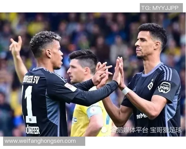 德乙焦点战波鸿迎战汉堡双方争夺季后赛名额的关键对决 德乙焦点战波鸿迎战汉堡双方争夺季后赛名额的关键对决