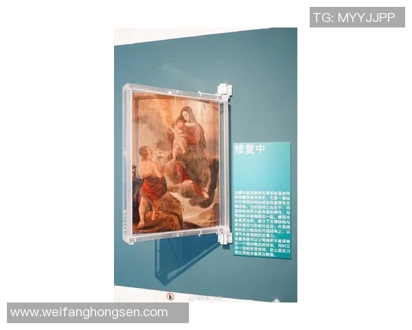 探索索博斯洛伊的历史与文化魅力揭开神秘面纱的旅程