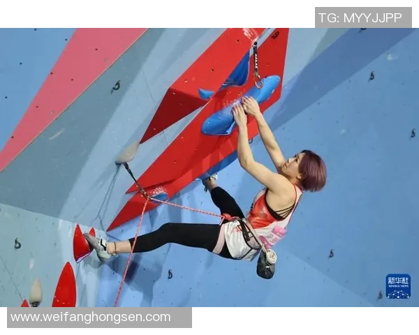 广州攀岩队的个人能力提升与团队协作的完美结合探讨MBA