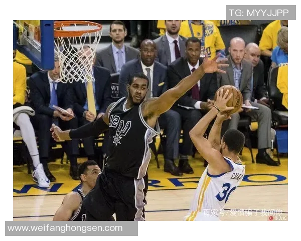 1516赛季勇士队对战醍醐队的精彩回顾与战术分析 1516赛季勇士队对战醍醐队的精彩回顾与战术分析