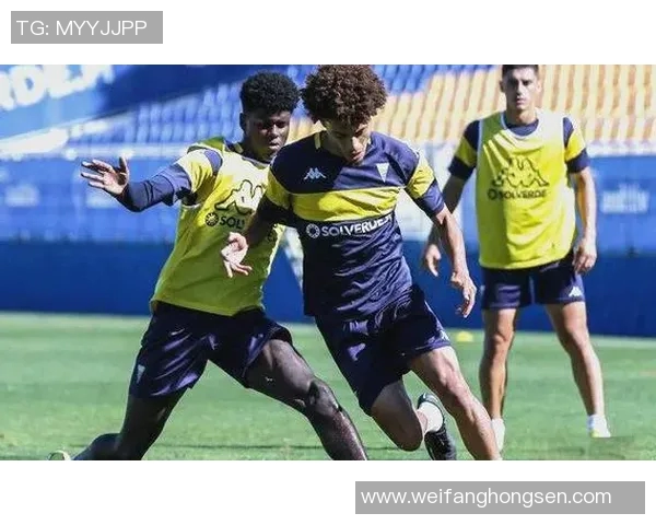 中央海岸与墨西悉尼的激烈对决展现澳超联赛的精彩魅力与竞争态势 中央海岸与墨西悉尼的激烈对决展现澳超联赛的精彩魅力与竞争态势