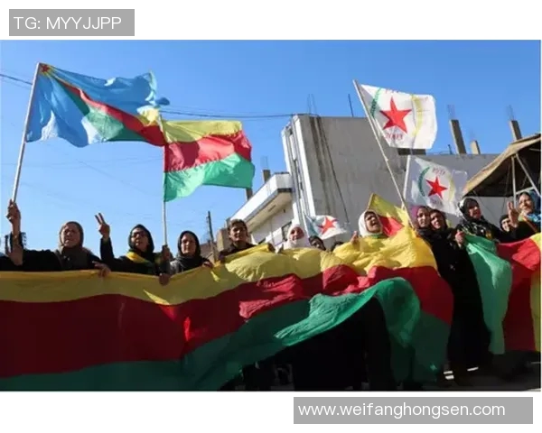 哥德堡与库尔德人之间的历史交锋与文化碰撞探讨