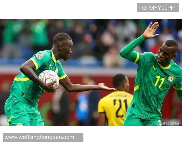 巴西与塞内加尔精彩对决回放全场比赛分析与精彩瞬间回顾