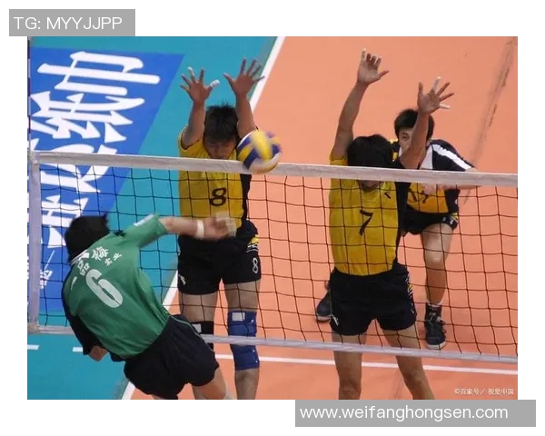 杭州排球队的团队协作精神与排球竞技的完美结合探讨