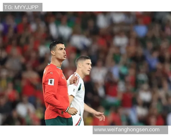 葡萄牙与荷兰激战正酣红牌事件引发热议与争议