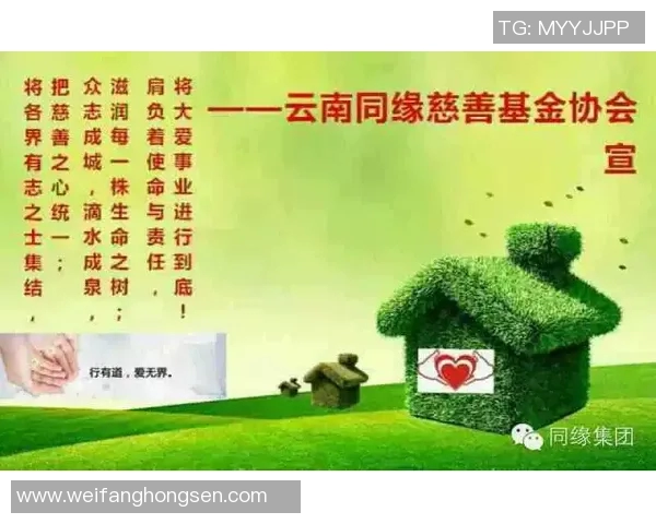 飞盘与梦想交织的旅程：赵丽的深度对话与人生启示