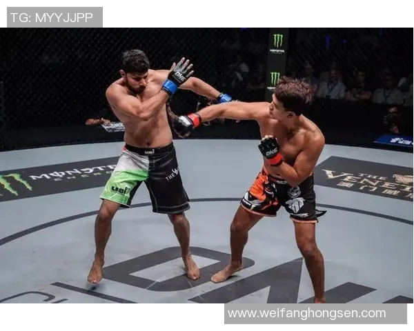 篮球明星Baron的传奇之路与他对篮球运动的深远影响