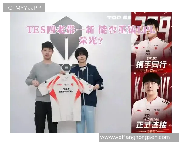 TES个人能力引发热议电竞圈对其表现的不同看法