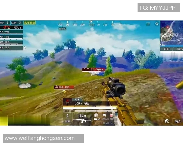 和平精英热议：TES团队协作引发的争议与反思