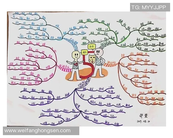 成都排球队团队协作表现的数据分析与提升策略探讨