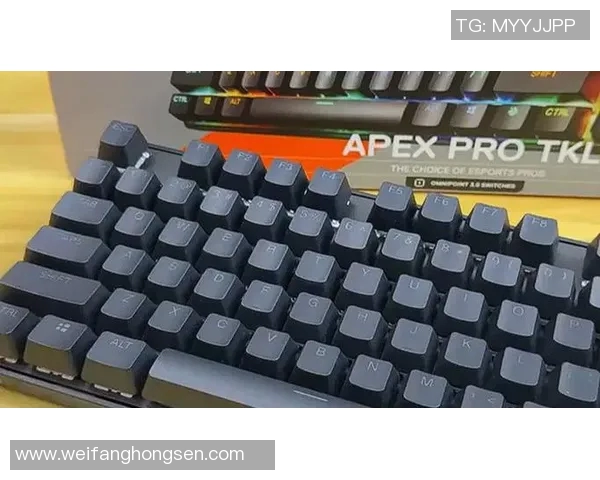 提升游戏体验的机械键盘推荐适合CSGO玩家的最佳装备选择