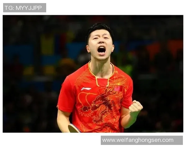 武汉乒乓球队实力强劲最新乒乓球TOP10榜单揭晓